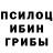 Псилоцибиновые грибы мухоморы Andrew Dmentev