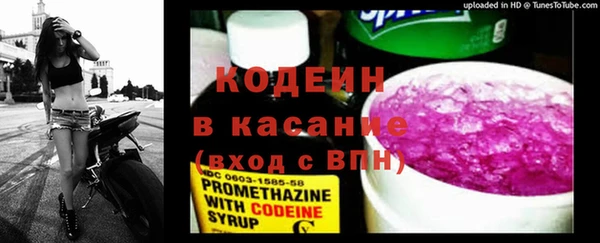 шишки Аркадак