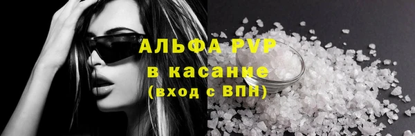 шишки Аркадак