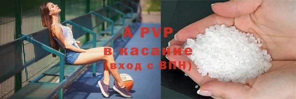 шишки Аркадак