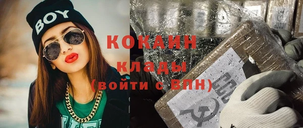 шишки Аркадак