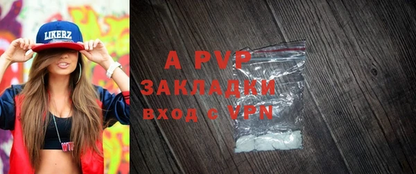 шишки Аркадак