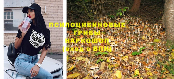шишки Аркадак