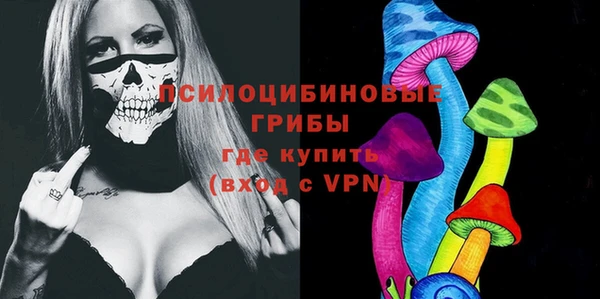 шишки Аркадак
